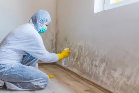 Best Mold Documentation for Insurance Claims  in Three Rivers, OR