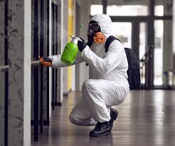 Best Biohazard Mold Removal  in Three Rivers, OR